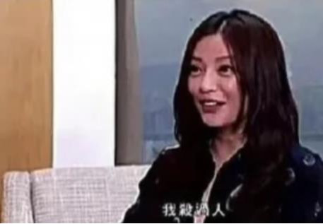 起底贼窝!中情局深度操控的黑燕子,再见!