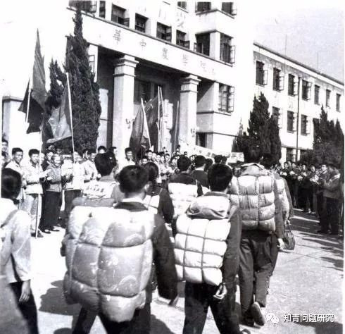 国家是怎样统筹安排，有序解决知青回城问题的？