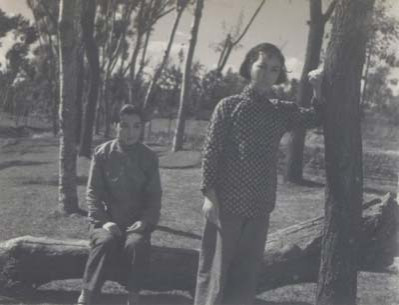 前方来信（1958）