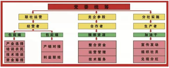 组织起来：从摆脱贫困迈向共同富裕——鸭池镇党委统领合作社实践启示