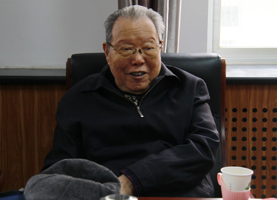 张全景：农村社会主义道路的领头羊