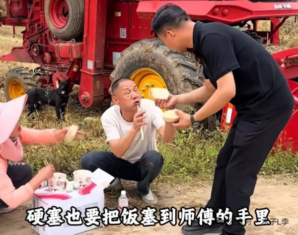陈先义:麦收季节说不尽的河南