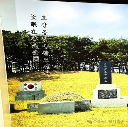 日本女教师：“当我真正站在日军侵华遗迹前，不禁为迟来的愧疚感到无地自容！”