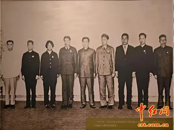 玉兰花开映初心、初心照后人