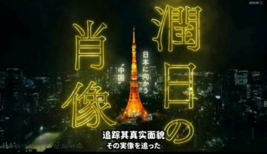 润日“杰出代表”登上日本“央视”纪录片不到一个月,被捕了