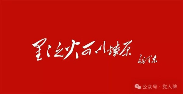 星火燎原，革命之路并不只有浪漫
