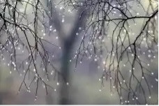 穆陶:雨思