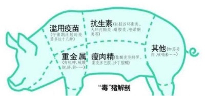 美国种猪落地武汉的背后,是一部中国土猪的消亡史