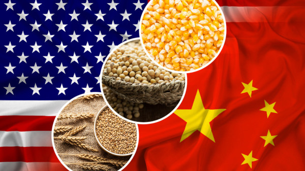 痛打美国农场主,中国狂买巴西大豆!