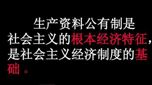 周新城：关于社会主义基本经济制度问题思考