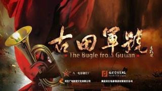 红色电影无档期：“偌大的电影里只坐着一个老共产党员”警醒谁？
