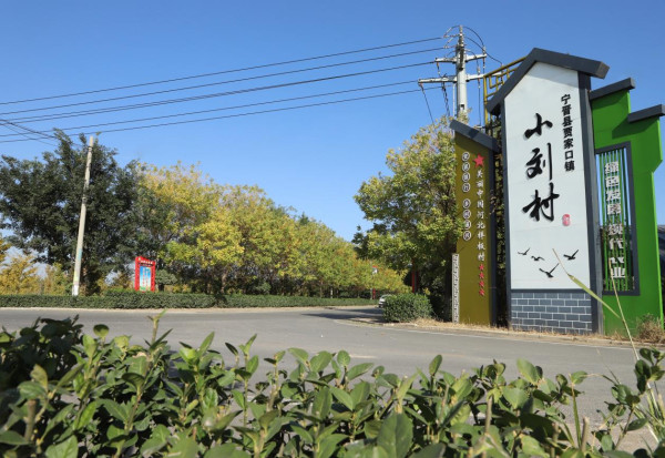 宁晋县小刘村：5年增长20倍，跑出集体增收“加速度”