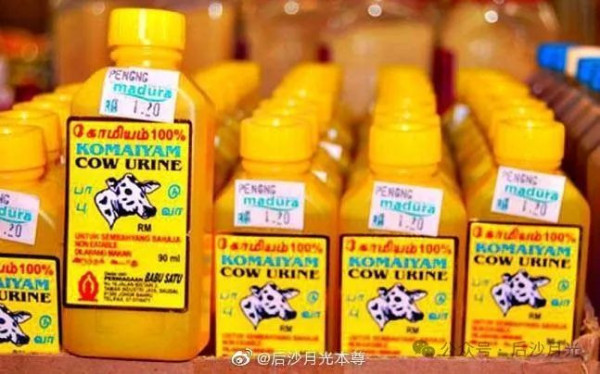 又蠢又坏,她后悔让中国加入WTO了!