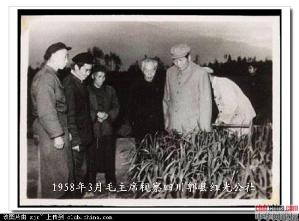 回忆毛主席视察红光社