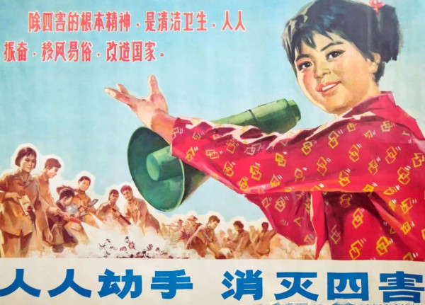 全民参与的“除四害”运动,一个时代的集体记忆