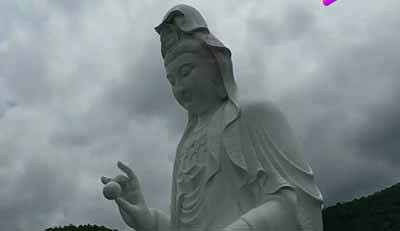 申鹏：商人有祖国，买办没有
