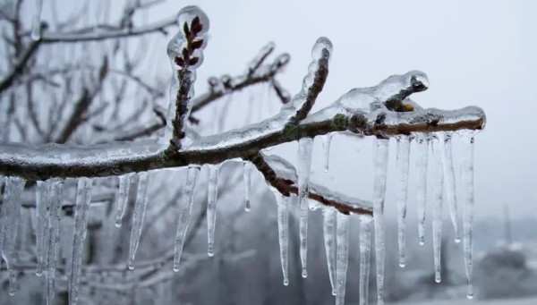 大雪冻住了湖北高速，却冻不住湖北人民的热心肠！