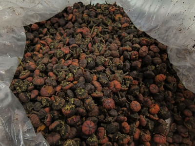 我去了外媒口中所谓的中国“最黑暗”的地方,真的“大开眼界”!