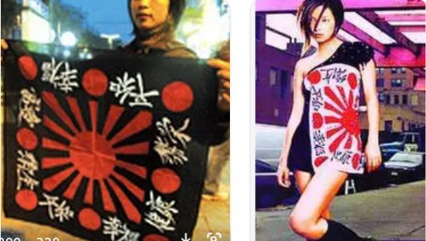起底贼窝!中情局深度操控的黑燕子,再见!