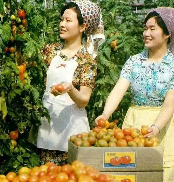 美国和朝鲜，谁才是流氓政权？