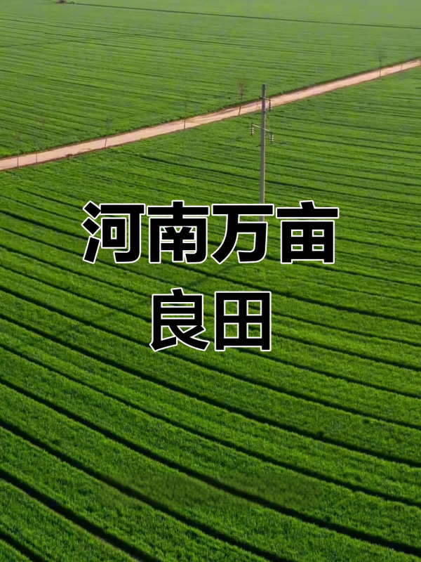 陈先义：风尘仆仆来河南
