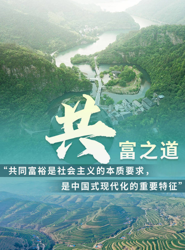 中国式现代化实现了马克思晚年跨越“卡夫丁峡谷”的设想