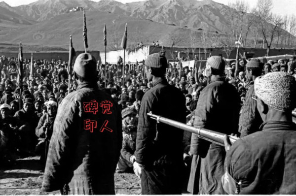 一起恶霸企图复辟报复村干部的谋杀案