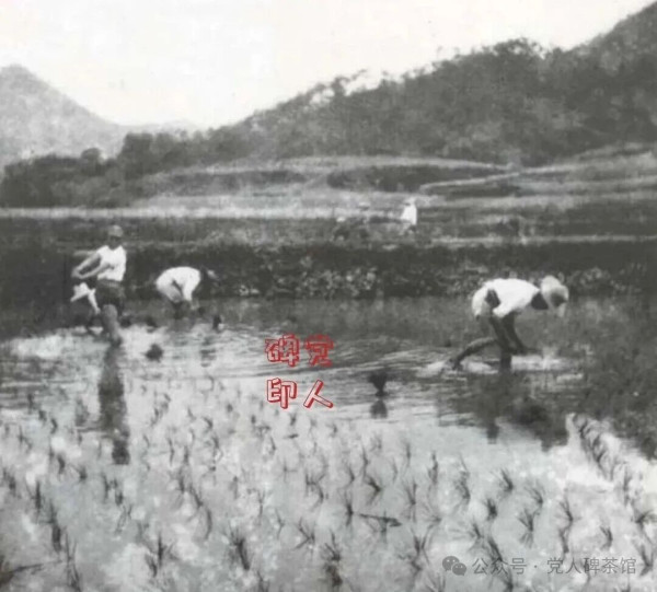 群众口中的“抗日菩萨”