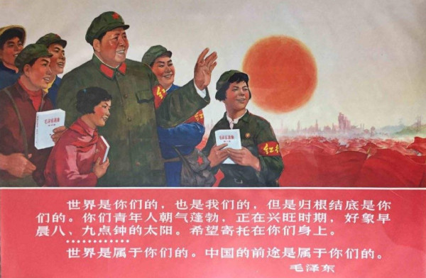 不改变生产“鸟导师”的导师制，还会有牺牲品