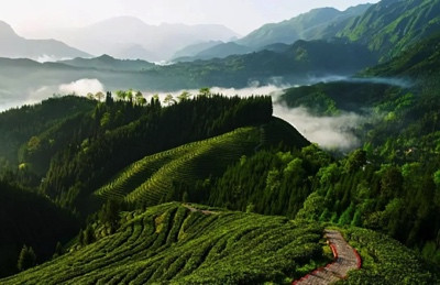 1965年,江南体育app下载入口
跟周总理说了一个计划,默默地守护了我们几十年