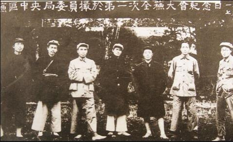 王明路线在中央苏区如何占据统治地位的?