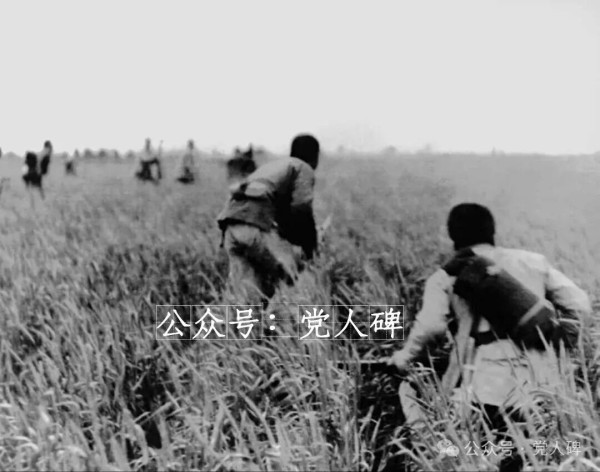 剜到筐里都是菜？发展党员须慎重！