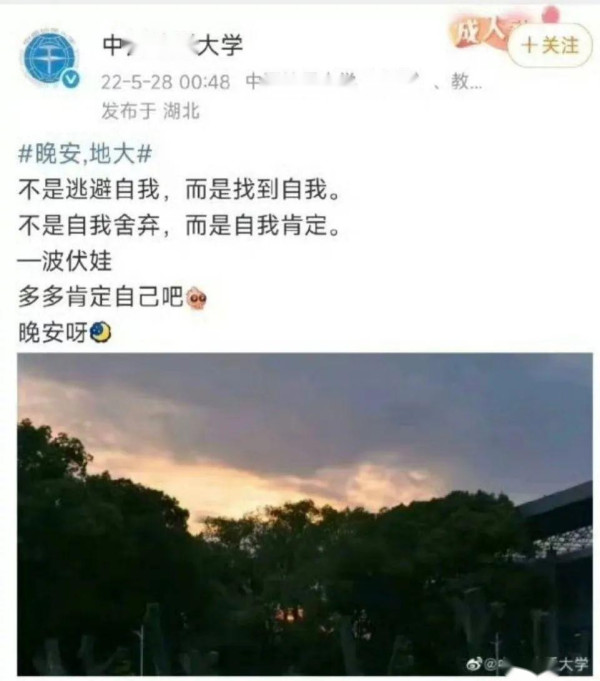 多个985高校官微吹捧的波伏瓦，究竟是个什么人？