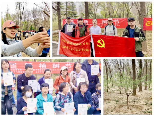 党建引领红色文化走基层：新植树节活动圆满举办