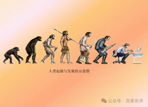 “直立人”起源：中国考古重大发现，非洲说果然不可信