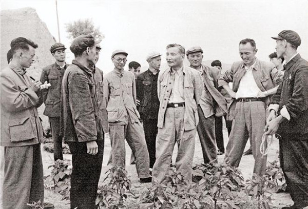鹿野：陈云是如何当好广大工人的朋友的？