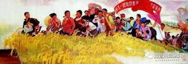 国家是怎样统筹安排，有序解决知青回城问题的？