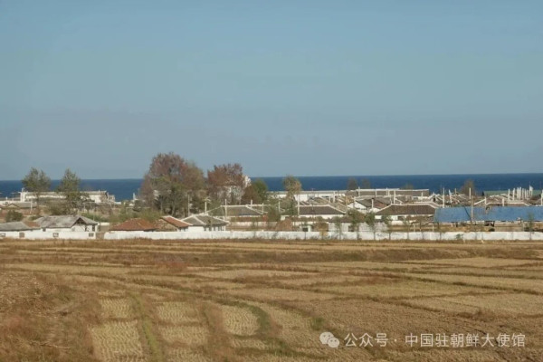 中国外交官镜头里的朝鲜