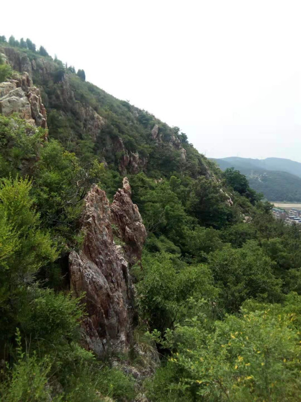 齐红深:建党一百周年登莲花山诗记