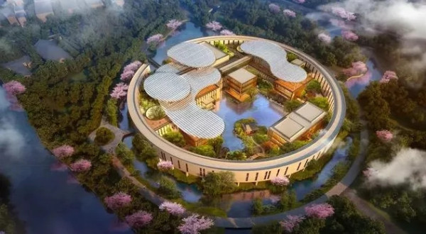 剑指湖畔大学,传递出什么危险信号?
