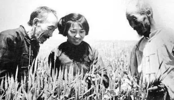 为毛主席点烟的那个知青好榜样徐建春去世了!
