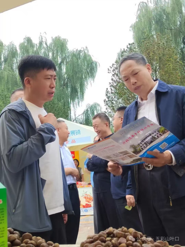 集体经济经理人：务必时刻把村集体利益最大化放心上