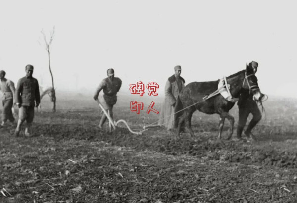 连一根针也不能糊弄老百姓！