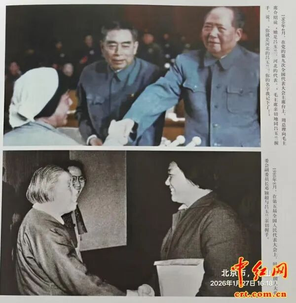 玉兰花开映初心、初心照后人