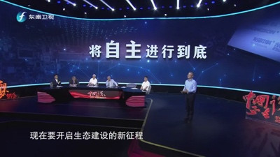 胡伟武:将自主进行到底
