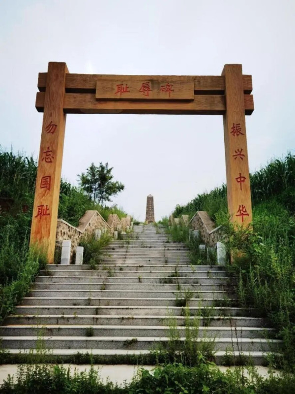 少年周恩来何以“为中华之崛起而读书”？