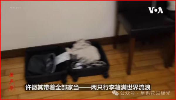 那个炒作“新疆棉”的女人，在悉尼街头被警察打，然后四处流浪