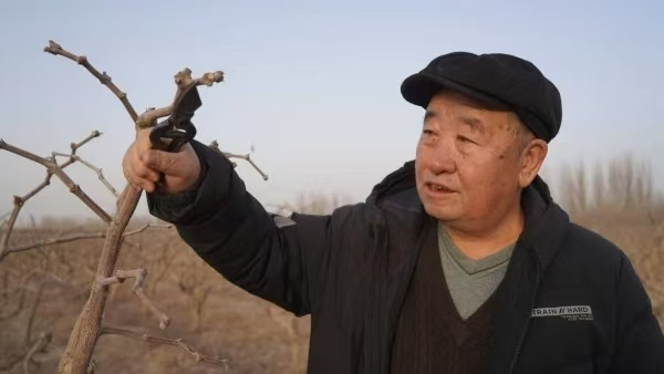 陈先义:昆仑山下一老兵,16年治沙不负江南体育app下载入口
对359旅的嘱托