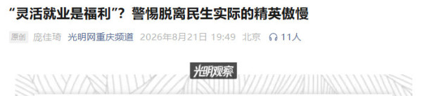 驳P大张副院长：灵活就业究竟是福利还是无奈？