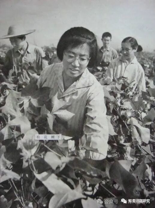 侯隽：对知青上山下乡问题说点心里话